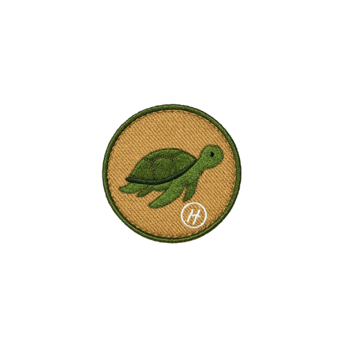 Hookie- Tortue